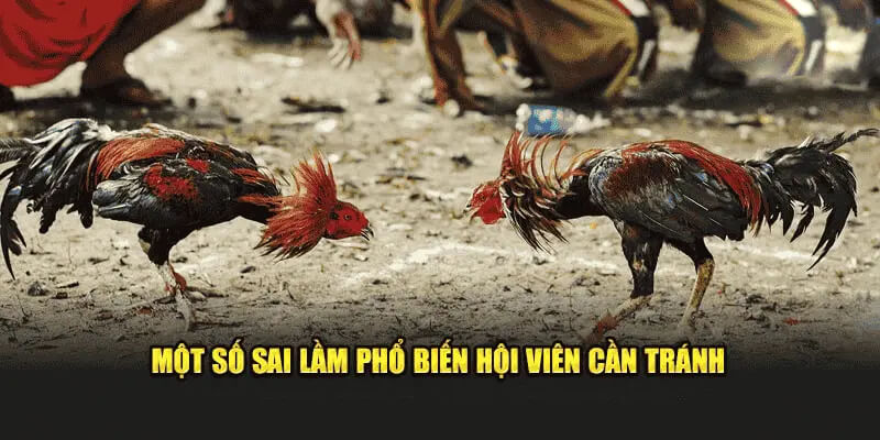 Một số sai lầm phổ biến hội viên cần tránh