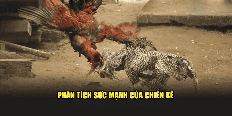 Đánh giá chiến kê trong các trận đấu