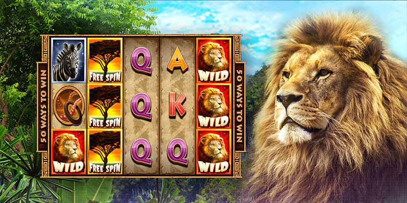 winld animals slot game s6666
