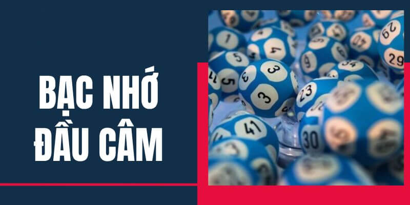 Tìm hiểu thuật ngữ bạc nhớ đầu câm
